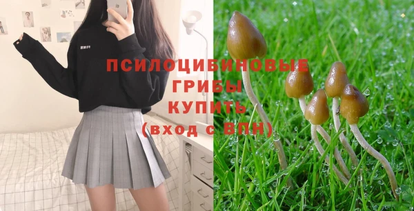 ECSTASY Алексеевка