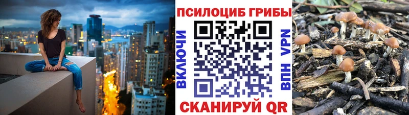Псилоцибиновые грибы мицелий  OMG ТОР  Микунь  где купить  